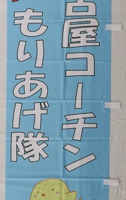 コーチン　のぼり